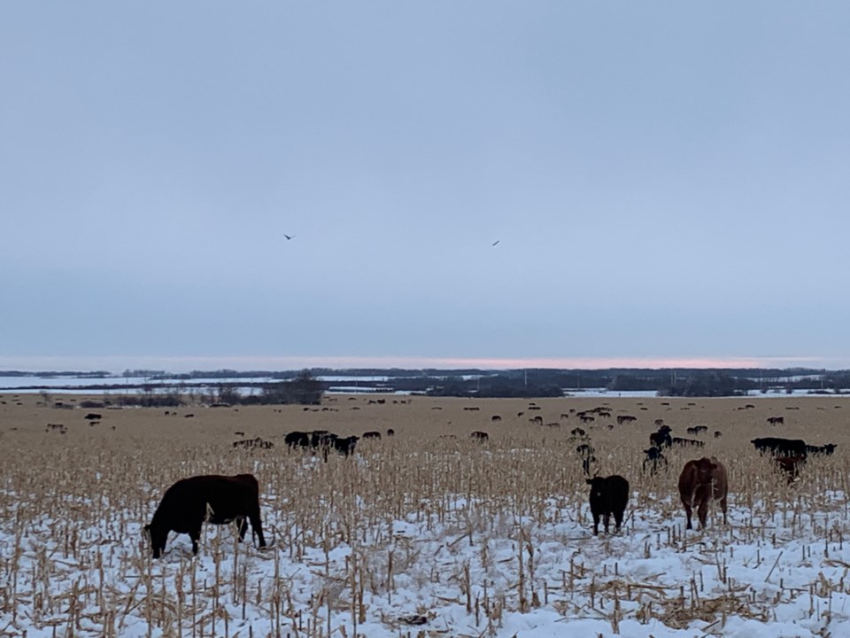 century-farm-stoughton