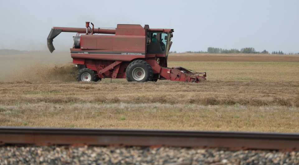 combining west of Langenburg 