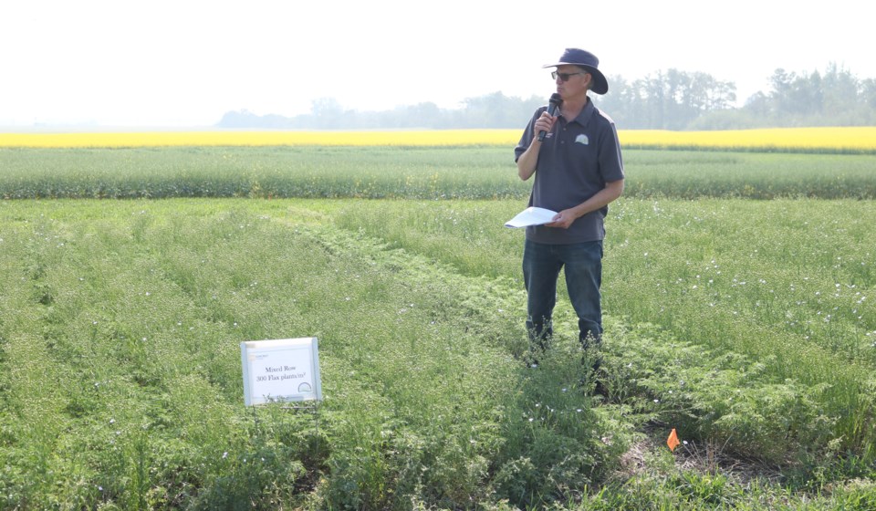 crop-plots-2025-intercropping