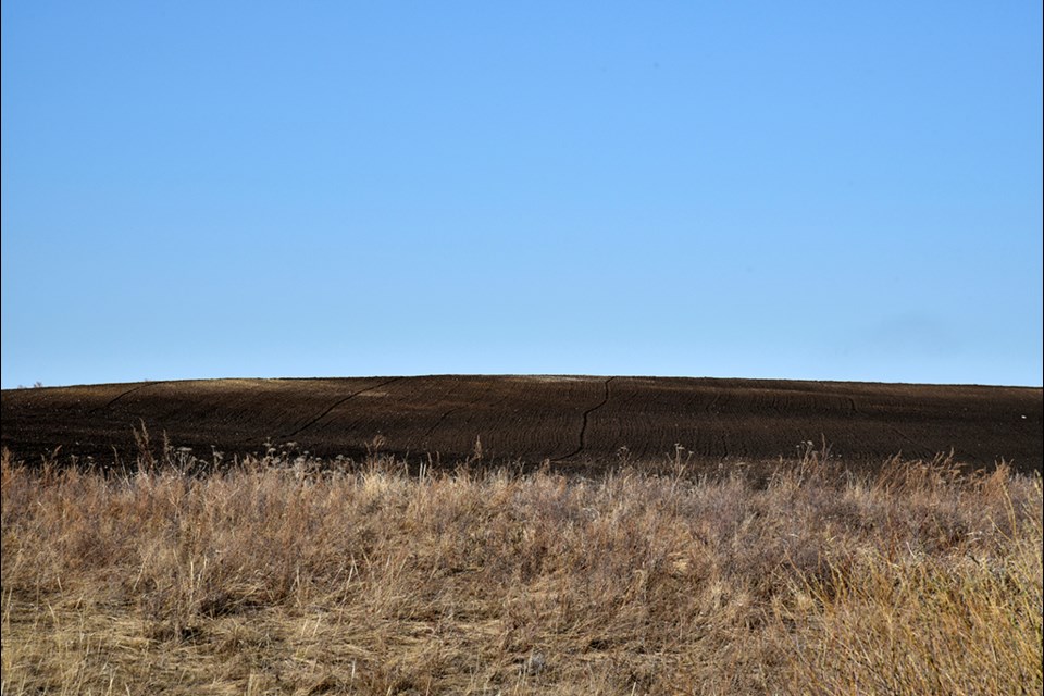 The Crop Report for Southwestern Saskatchewan crop region covers Crop District 3ASW – Coronach, Assiniboia and Ogema areas; Crop District 3AN – Gravelbourg, Mossbank, Mortlach and Central Butte areas; Crop District 3B – Kyle, Swift Current , Shaunavon and Ponteix areas; Crop District 4 – Consul, Maple Creek and Leader areas.