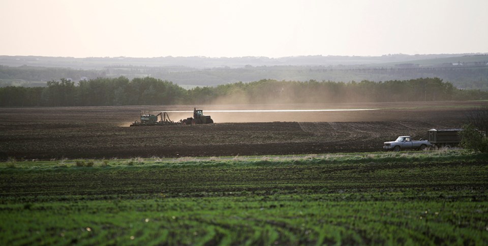 crop report seeding field