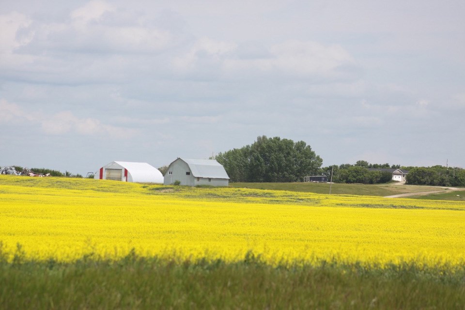 prairie-scene-rw