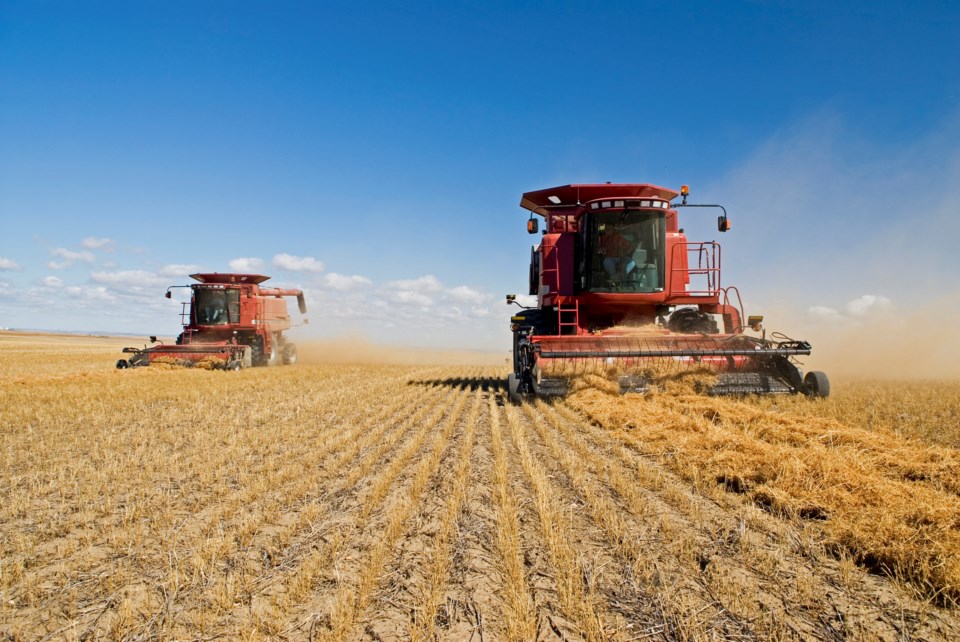 combines harvest time