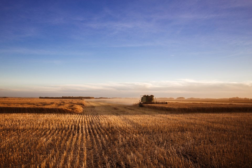 completing harvest