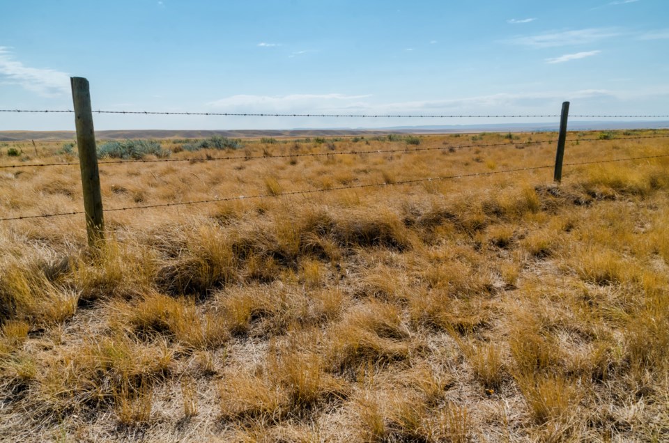 dry fields fence