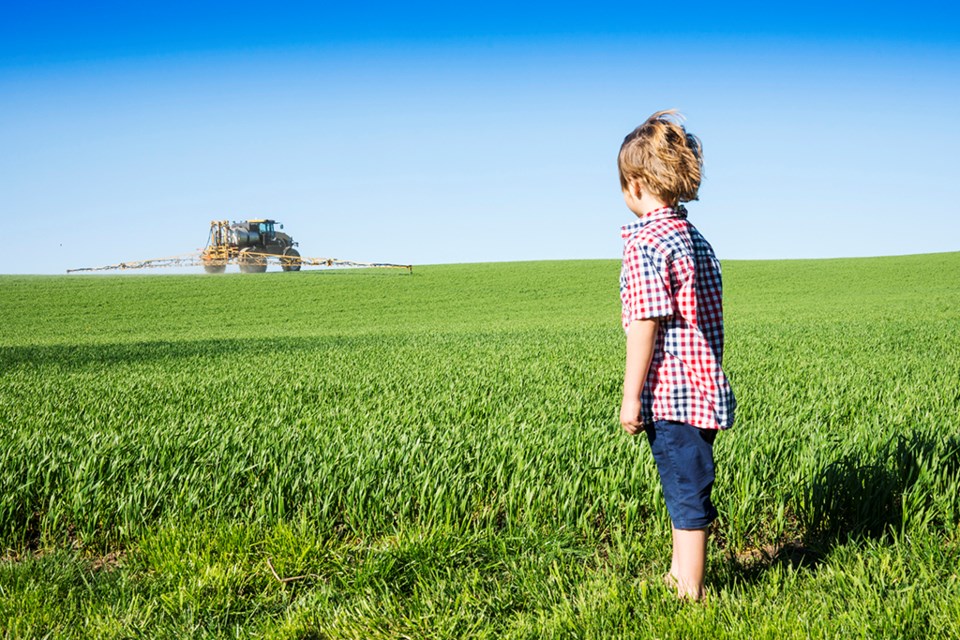 Farm kid looking over a field of hay crops with a crop spraye