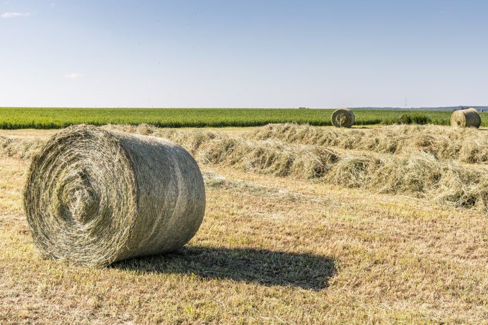 gettyimages-balingwheatfield