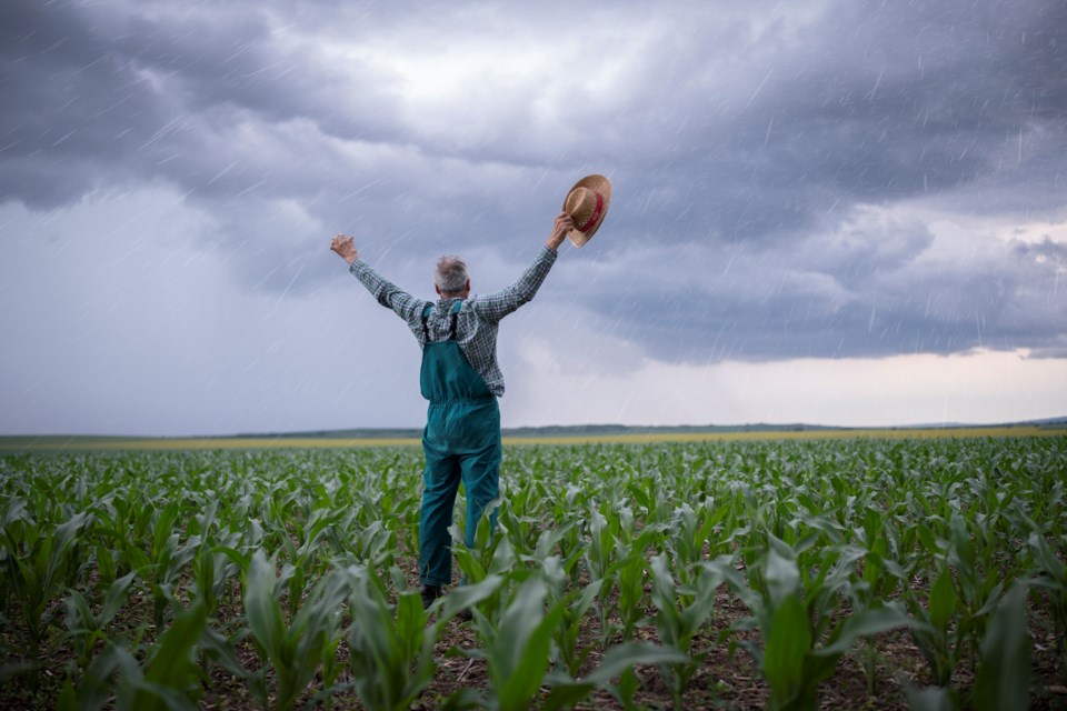 gettyimages-farmercelebratingrain