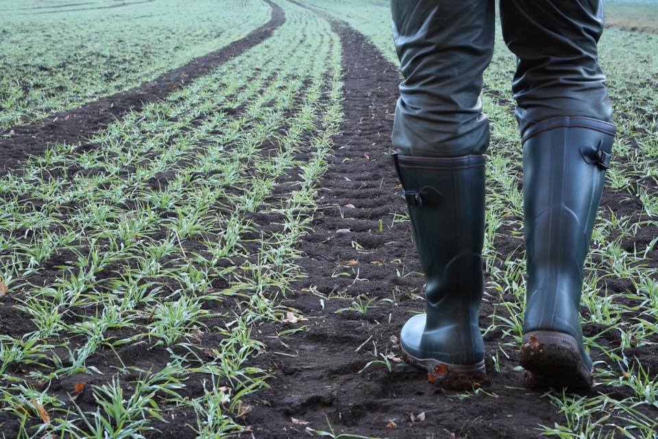 gettyimages-rubberbootslane
