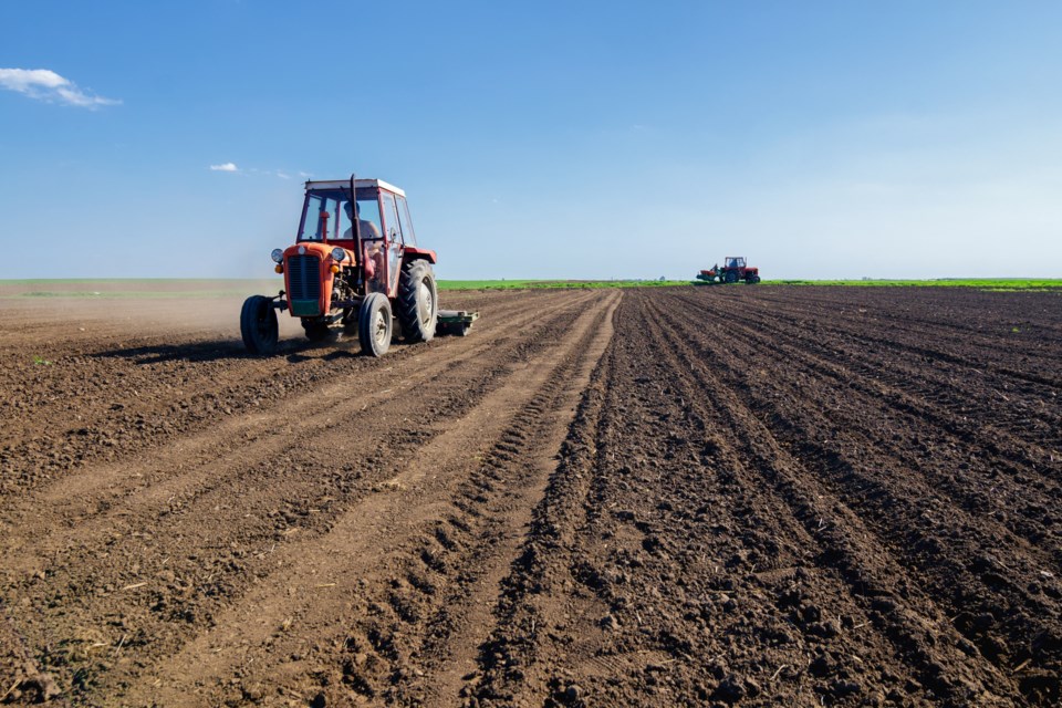 gettyimages-seedingpreparations