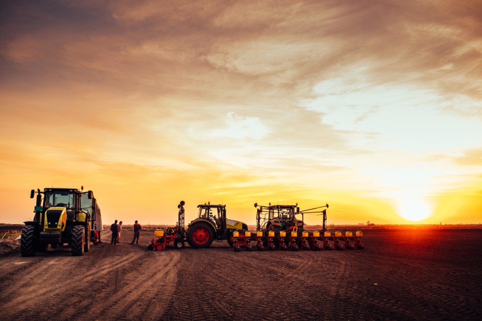 gettyimages-seedingsunset