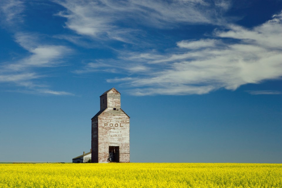 grain elevator canolafield