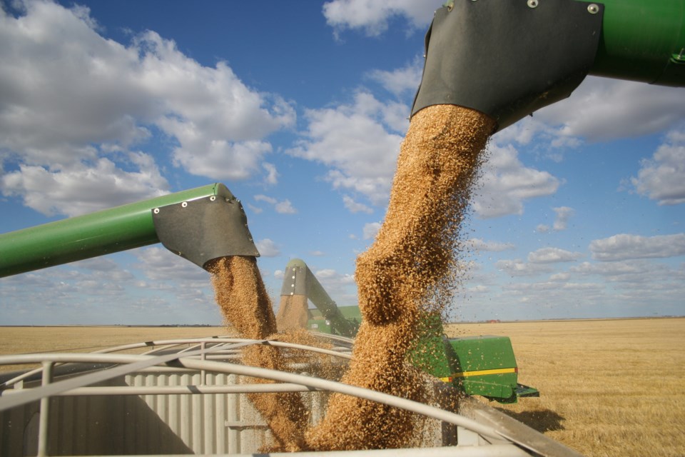 grain unloading