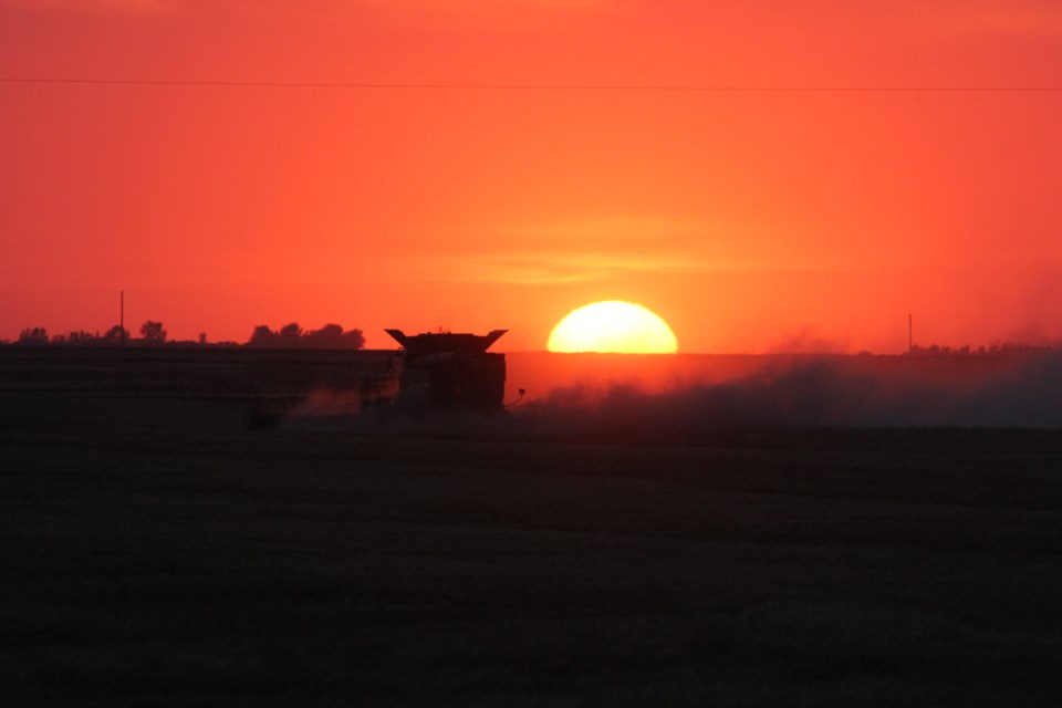 Harvest-sunset7
