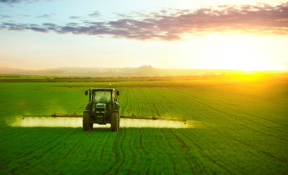 Tractor spraying a field of wheat