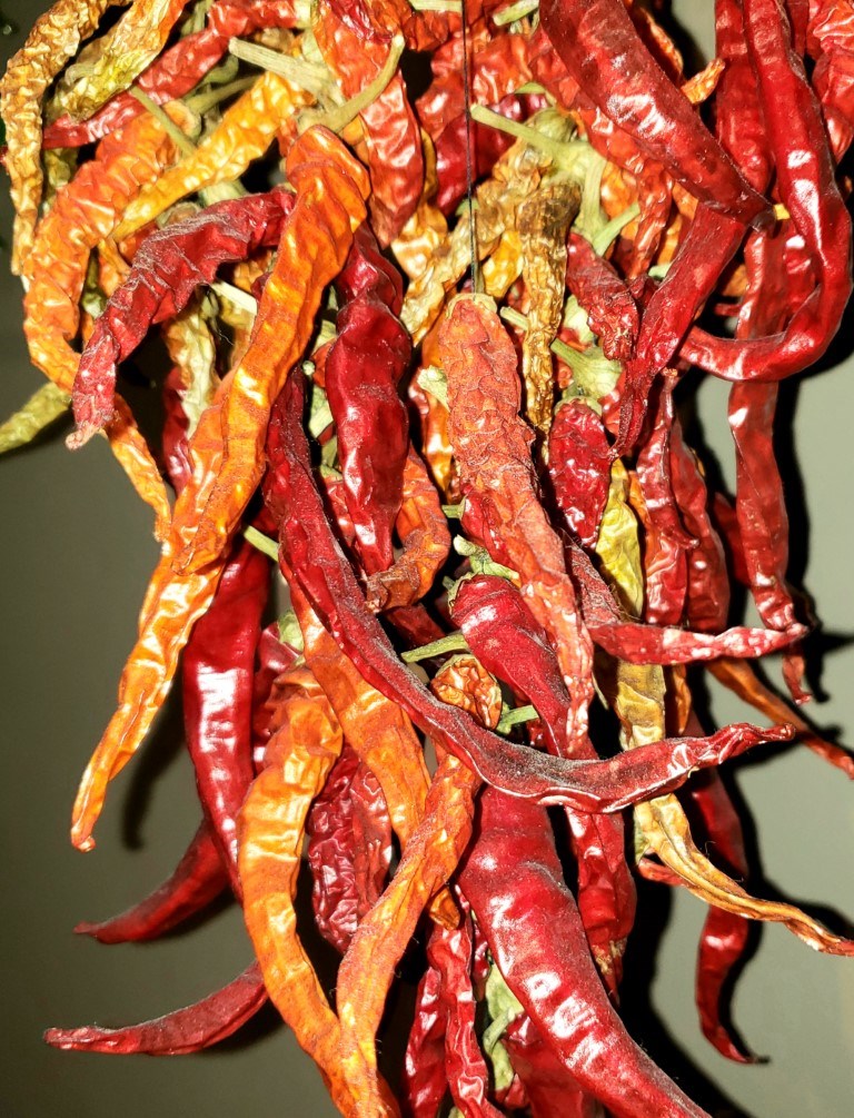 dried long red cayenne peppers