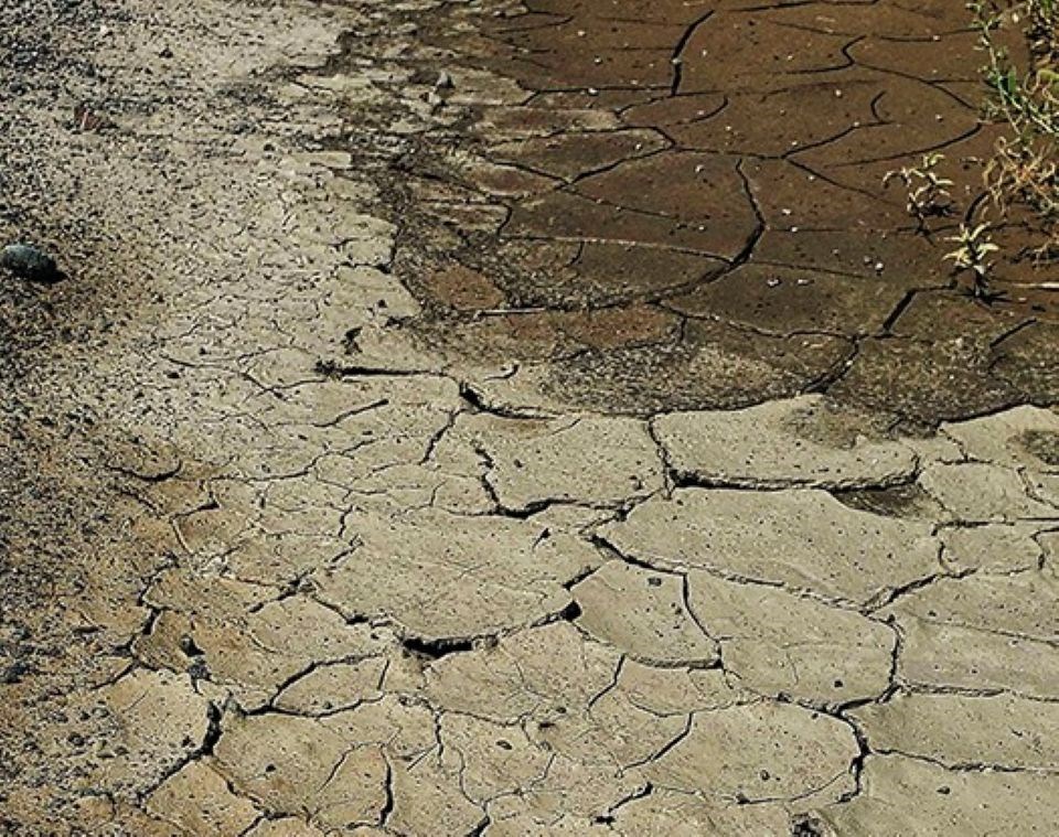 drought-cracked-earth