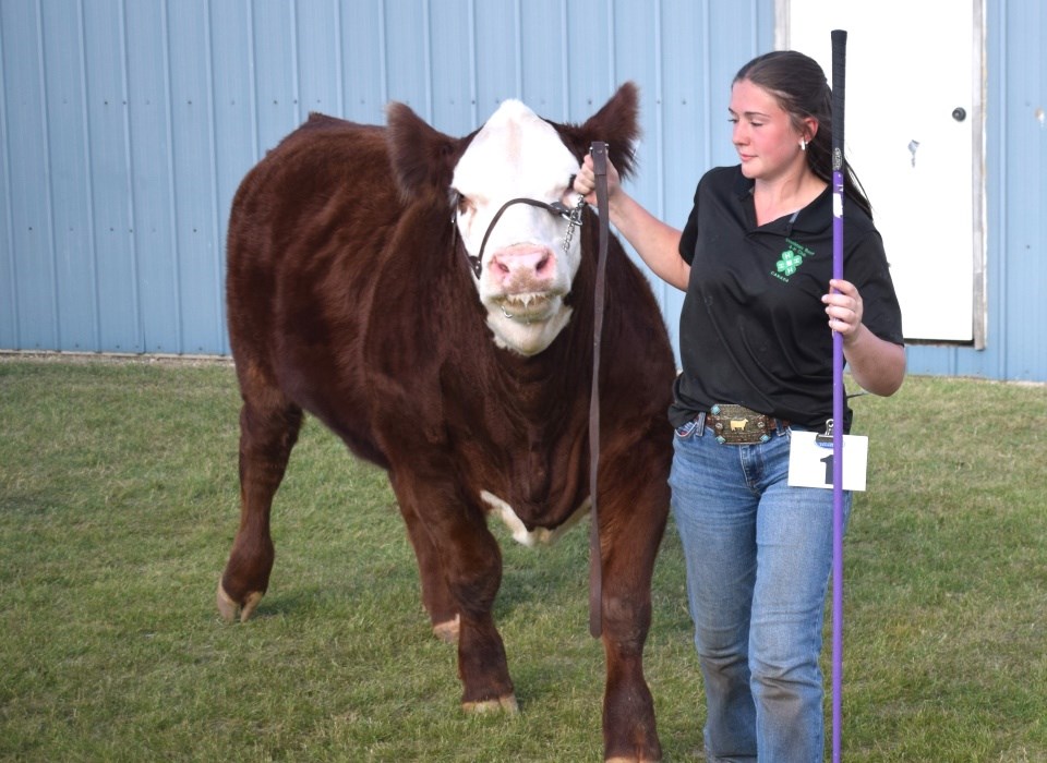 estevan-4h-grand-champion-2025-1