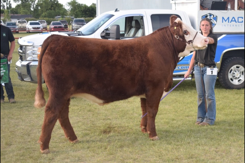 Rowyn Shier had the grand champion steer at this year's Estevan sale. 