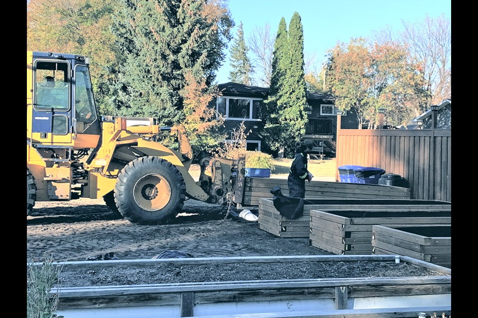 With a government grant Estevan Community Gardens purchased lumber, steel and landscape fabric to build eight new beds. 