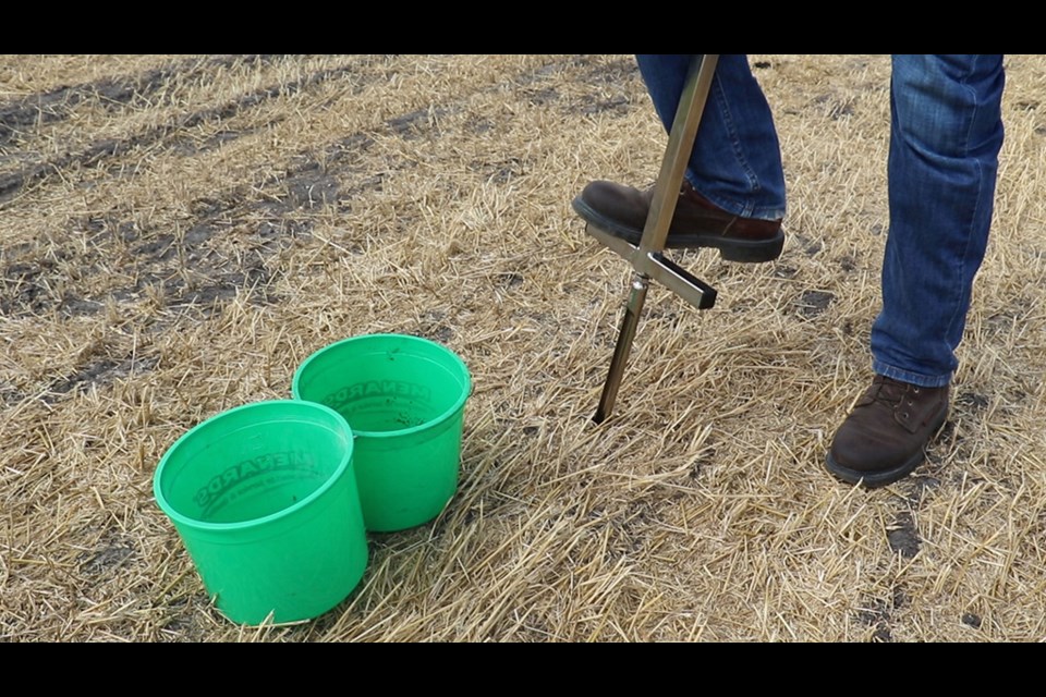 Collect fall soil samples once the soil has cooled to at least 10°C. Cool soils reduce the microbial activity that can mobilize nutrients. By waiting until this activity slows down, the soil test result will be a more accurate indicator of nutrient levels next spring.