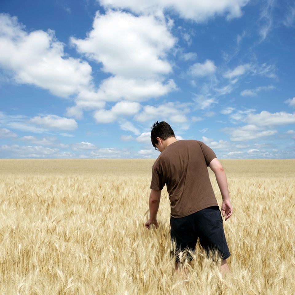 farmer checking wheat field 1