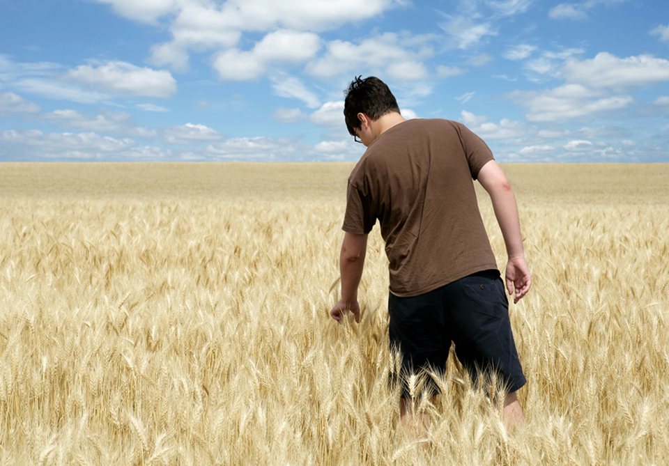 farmer checking wheat field crop