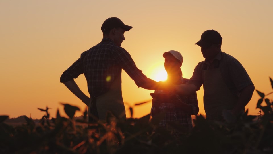 Farmers silhouette