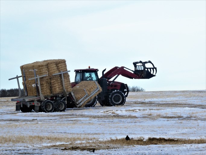 farming in winter