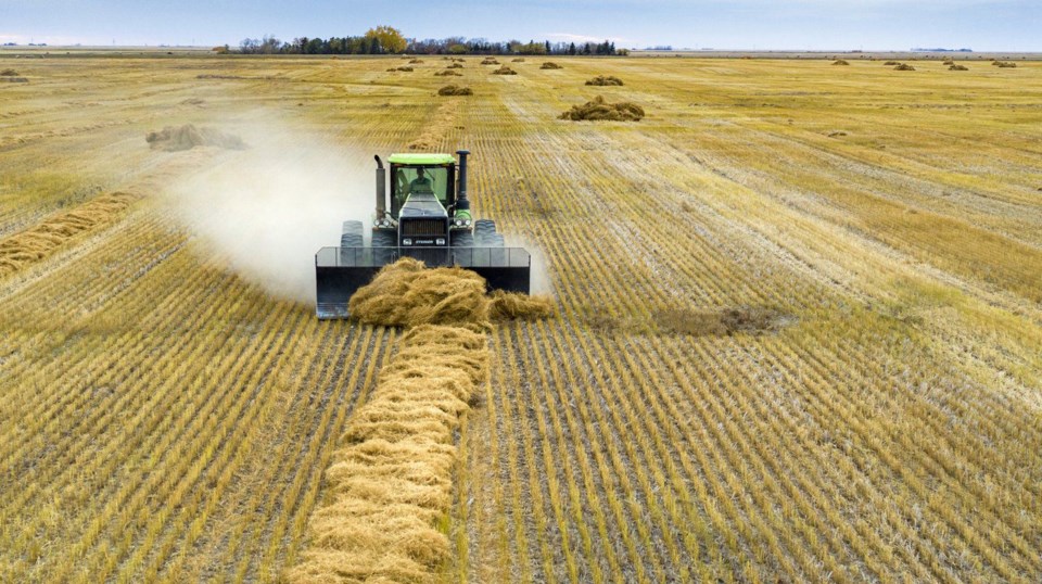 flax-straw