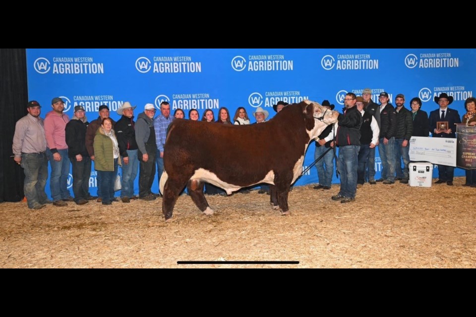 Glenlees 27C Daisy 40F and her calf MHPH GL 240J Daisy 115L were in the top 10 for the supreme cow-calf pair.