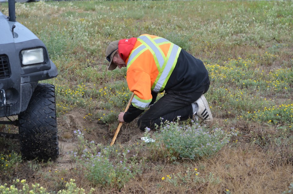 Gophers in Kipling