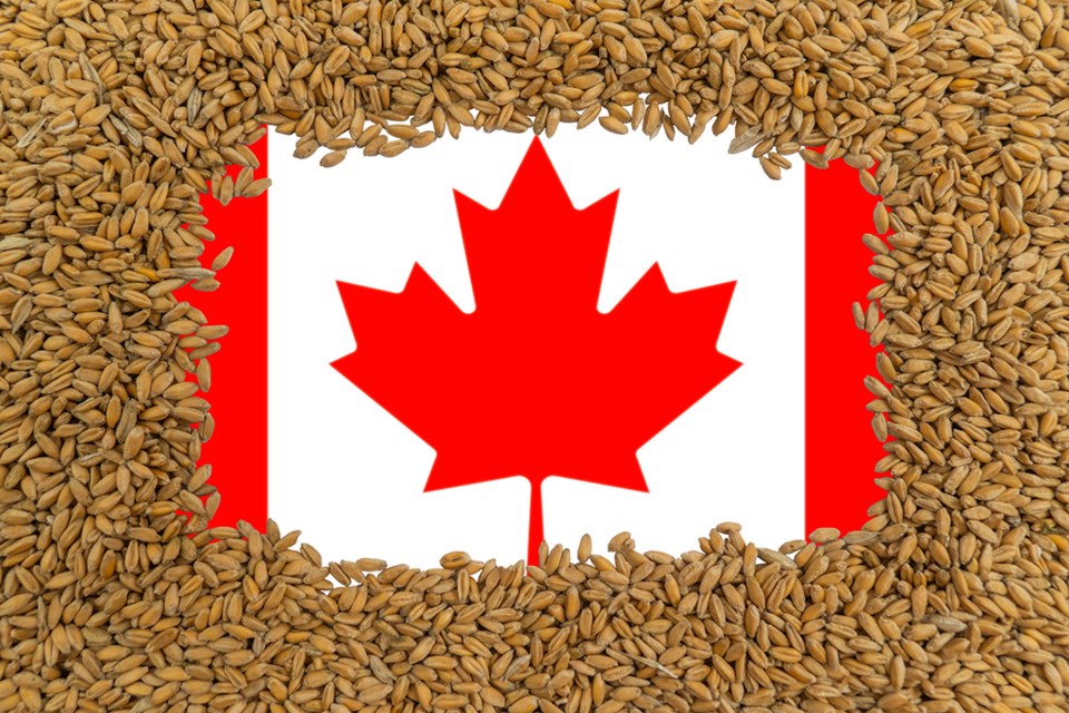 grain-maple-leaf