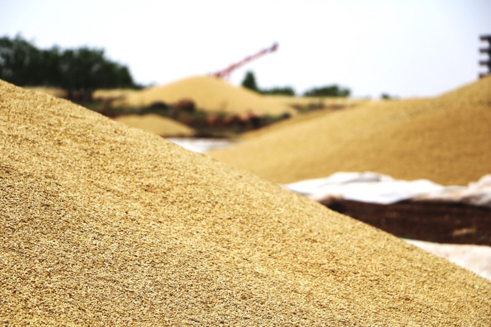 Grain storage problems