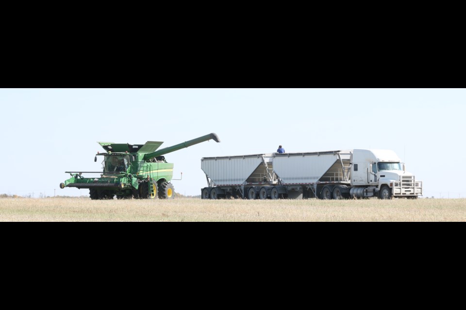 In East-Central Saskatchewan very little harvest progress was made over the past week, only twenty-five per cent of the crop is now combined, up from 22 per cent last week and well ahead of the five-year (2016-2020) average of 13 per cent for this time of year. File Photo)