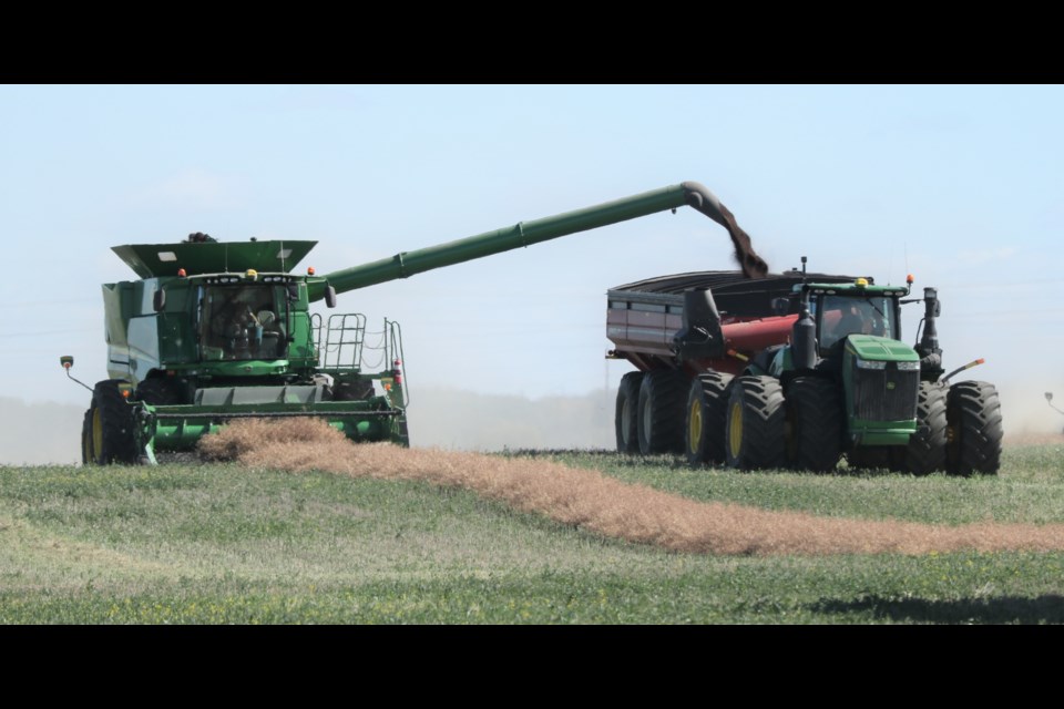 A combine unloads 'on-the-fly' into a grain cart Friday.