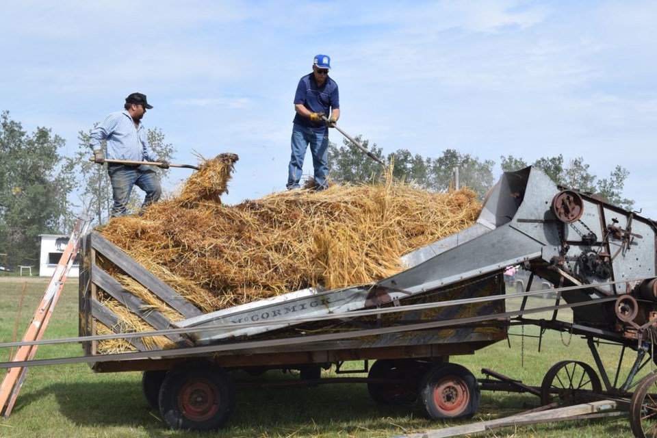 Jeff Pinder, left, and Vern Poworoznyk kept the threshing machine well fed with bundles of oats.