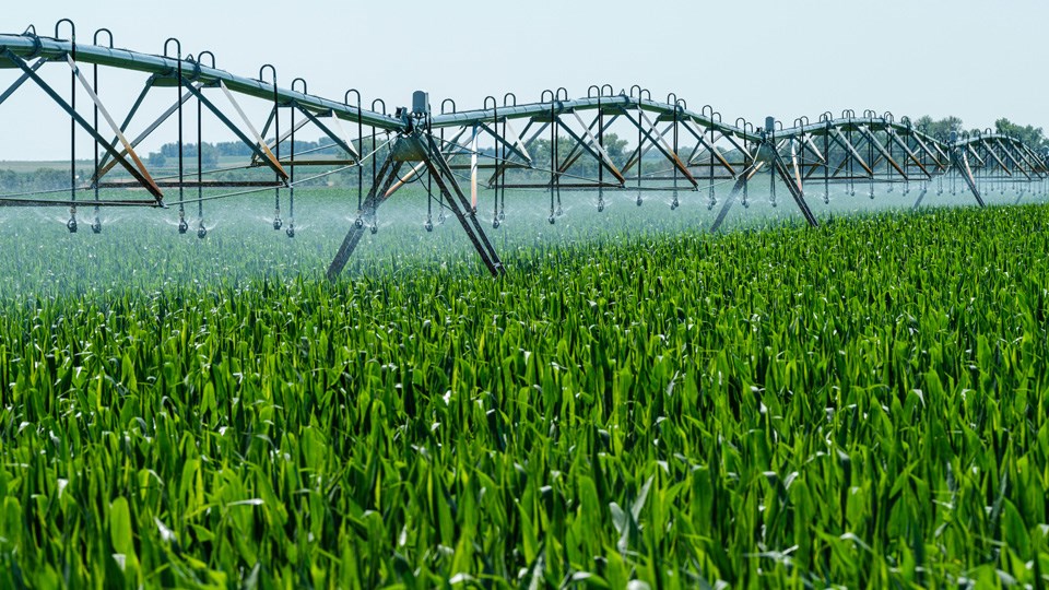 irrigation-0425
