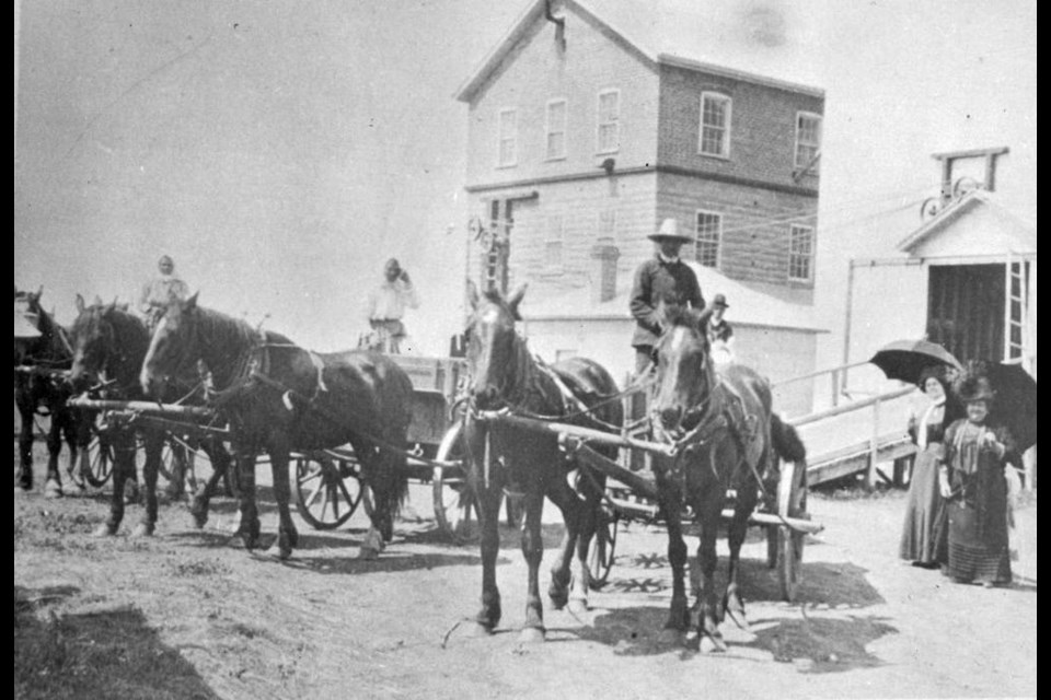 Hauling grain to the elevator in Veregin in 1911 was by horse and buggy.