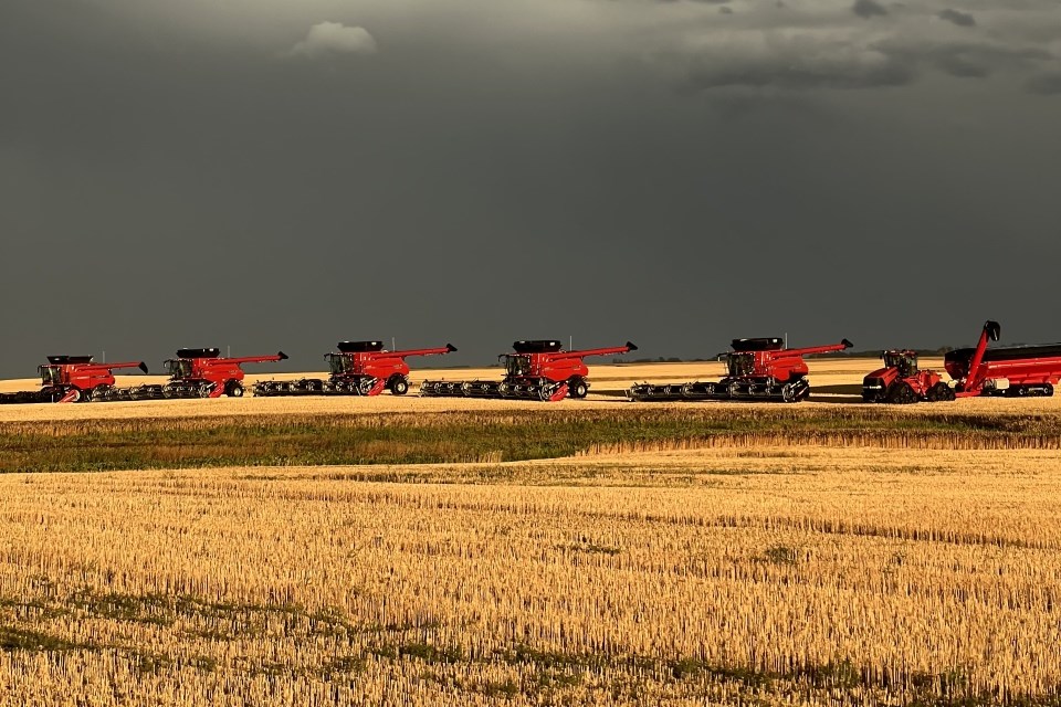 leblanc-harvest-2025-2