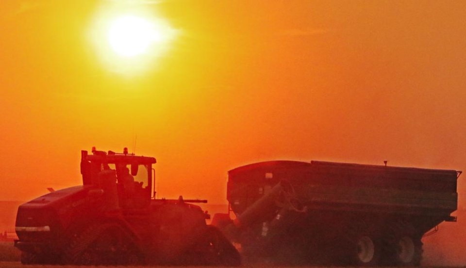 mainil-harvest-8505