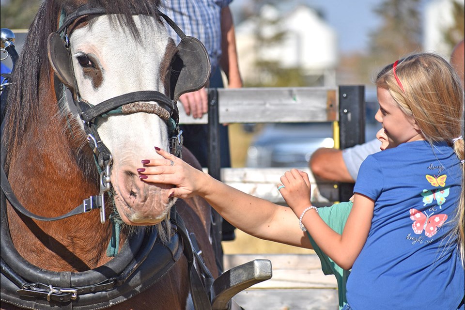 A young girl and her mother pet a horse before taking a wagon ride.