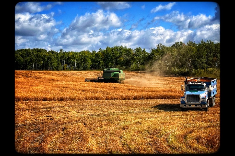 Harvest operations in the southeast.