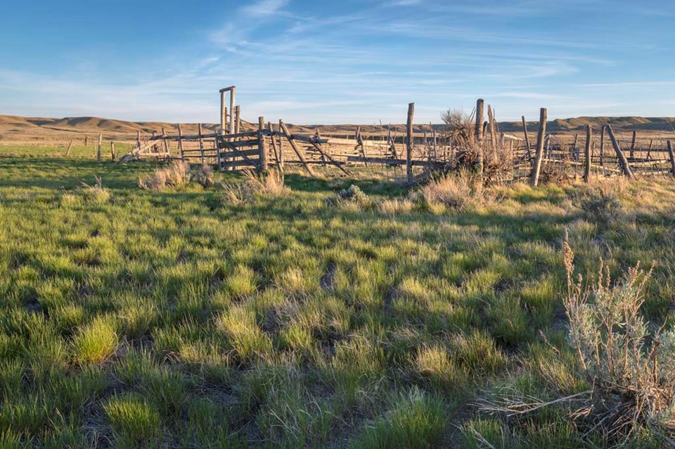 pasture grasslands national park