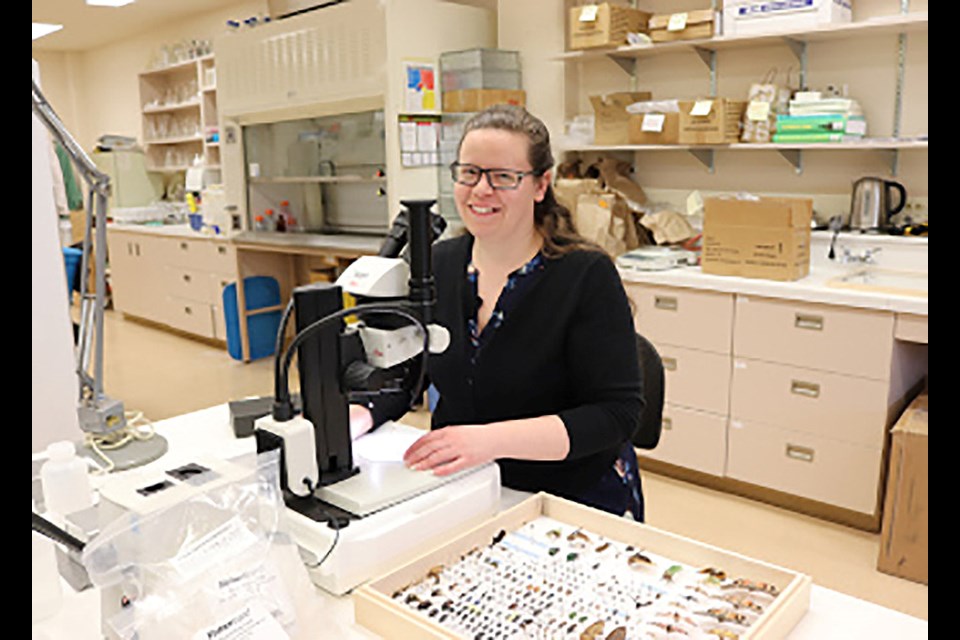 Dr. Meghan Vankosky works at a microscope in her lab at the Saskatoon Research and Development Centre.