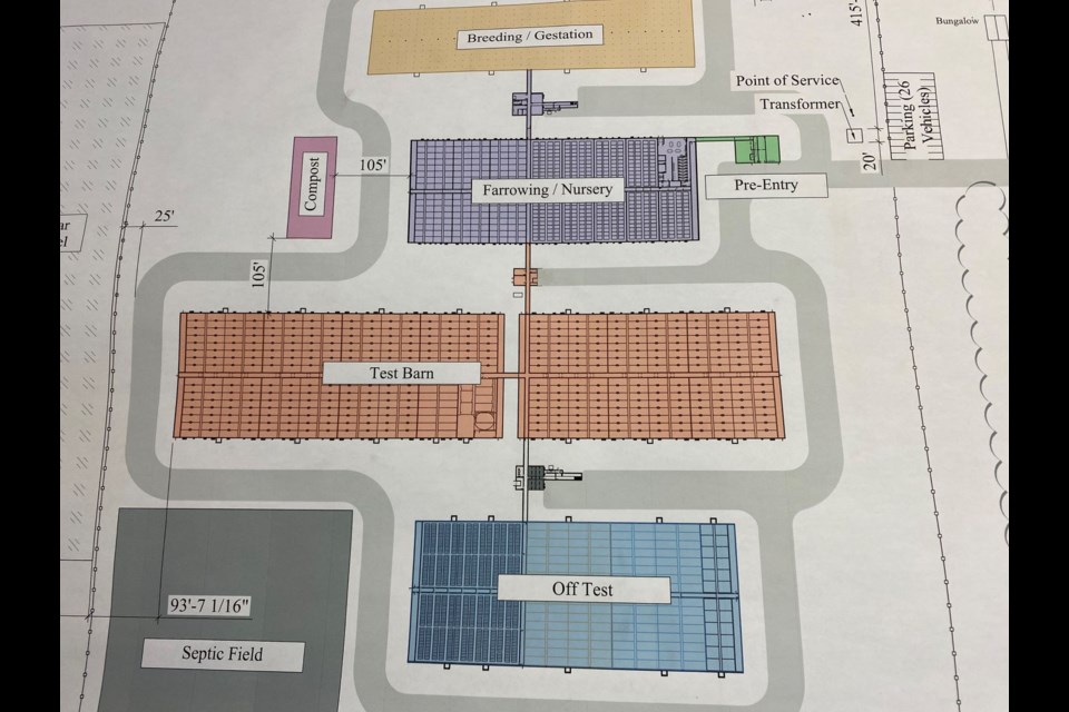 From north to south, a guideline of the barns in gestation order. 


