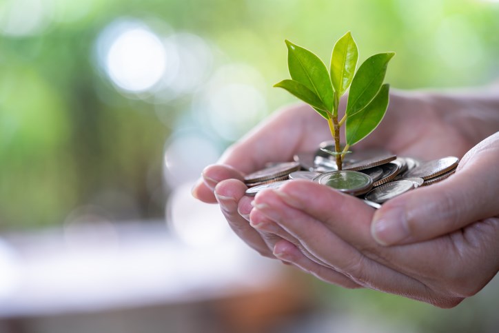 plant money