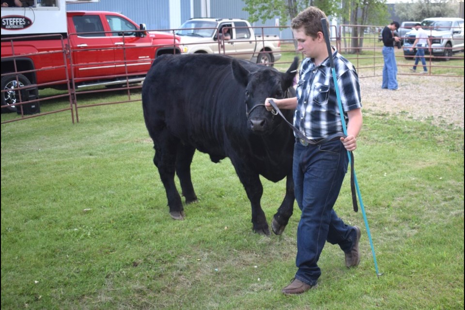 Ryder Mantei paraded around the grand champion steer. 