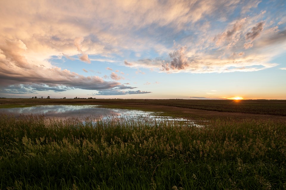 prairie slough