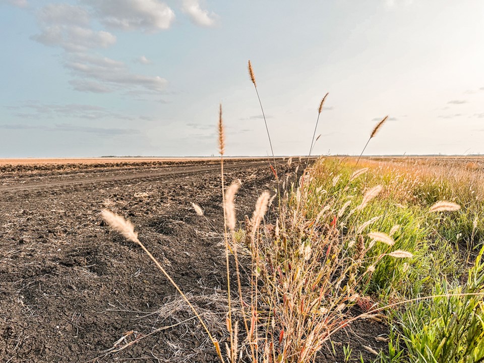 prairiescene